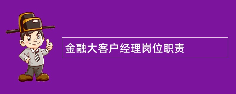 金融大客户经理岗位职责