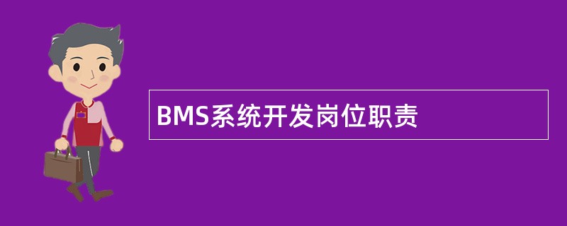 BMS系统开发岗位职责