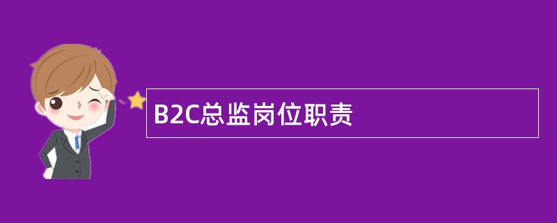 B2C总监岗位职责