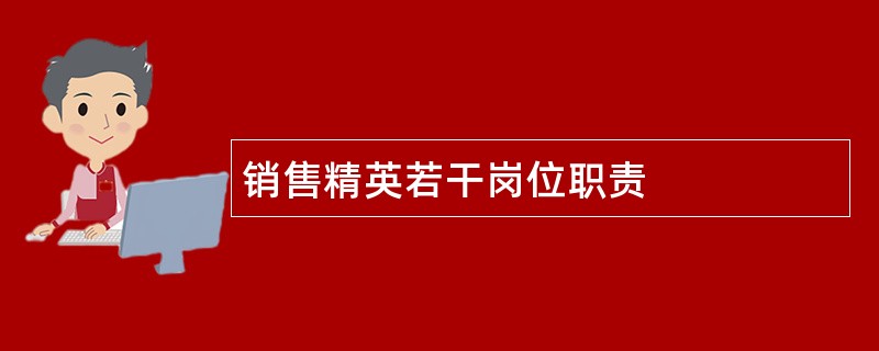 销售精英若干岗位职责