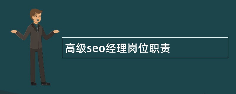 高级seo经理岗位职责