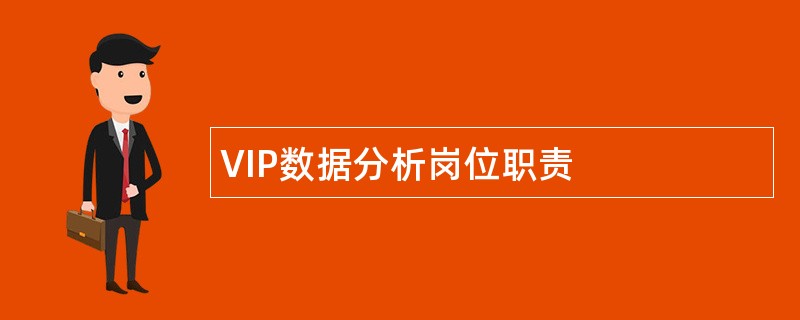 VIP数据分析岗位职责