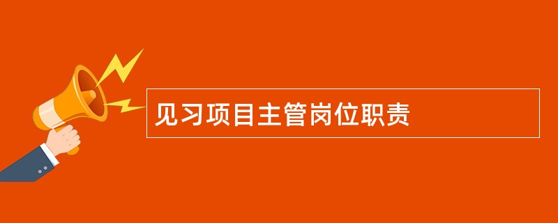 见习项目主管岗位职责