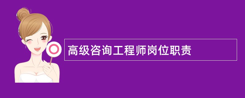 高级咨询工程师岗位职责