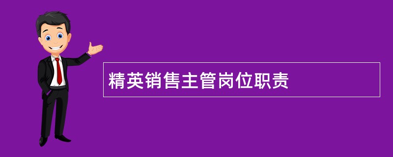 精英销售主管岗位职责