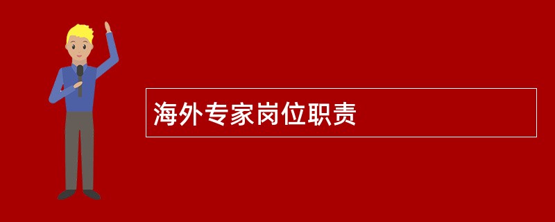 海外专家岗位职责