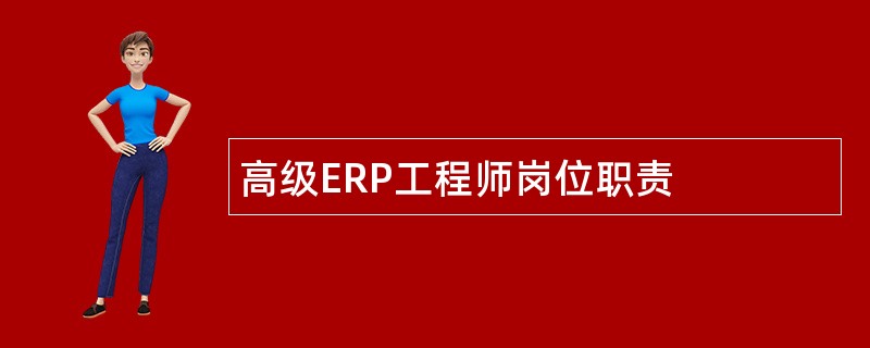 高级ERP工程师岗位职责