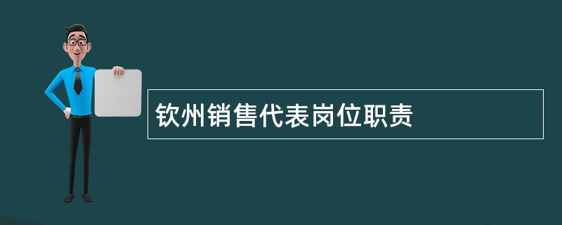 钦州销售代表岗位职责