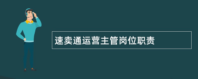 速卖通运营主管岗位职责