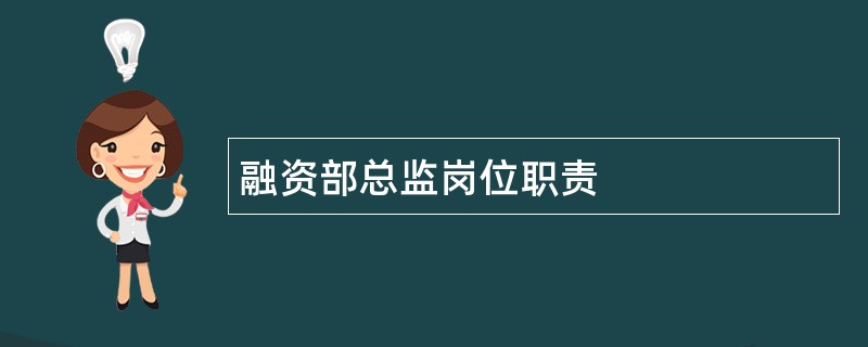 融资部总监岗位职责