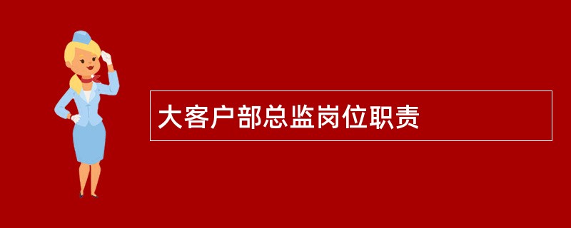 大客户部总监岗位职责