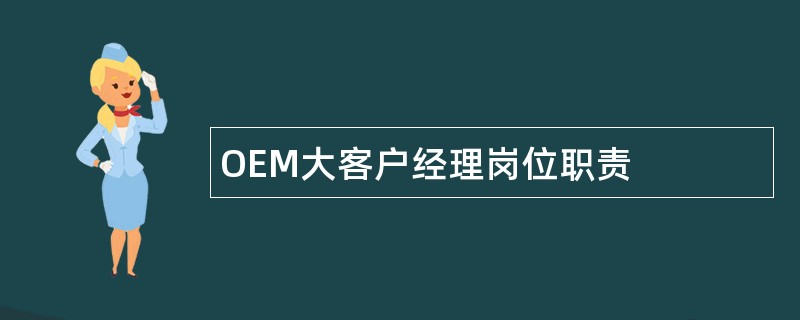 OEM大客户经理岗位职责