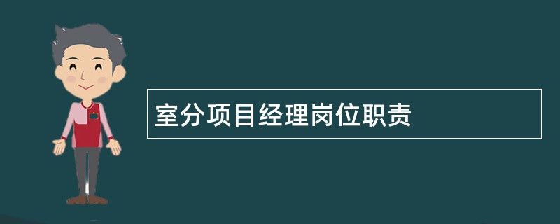 室分项目经理岗位职责