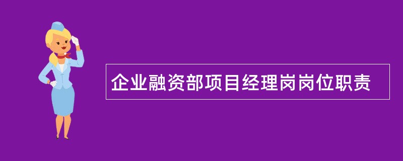 企业融资部项目经理岗岗位职责