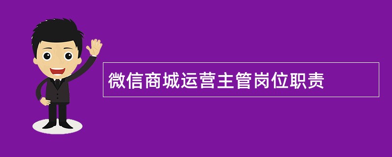 微信商城运营主管岗位职责