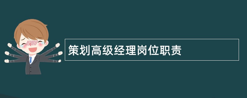 策划高级经理岗位职责