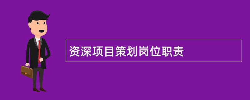 资深项目策划岗位职责