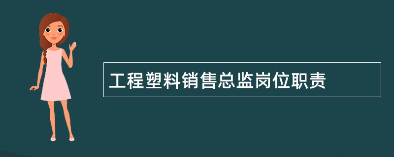 工程塑料销售总监岗位职责