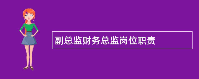 副总监财务总监岗位职责