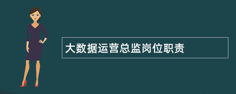 大数据运营总监岗位职责