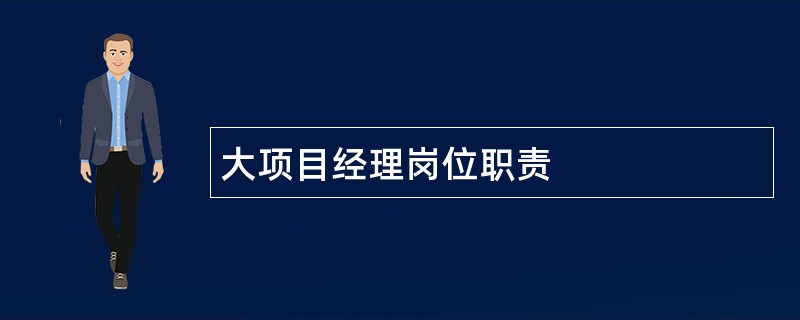 大项目经理岗位职责