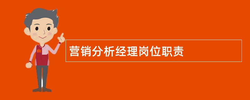 营销分析经理岗位职责