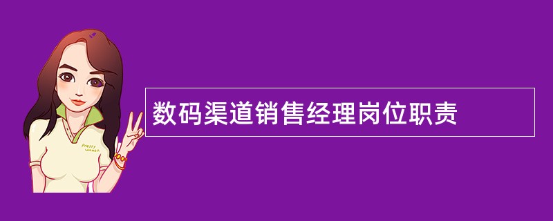 数码渠道销售经理岗位职责