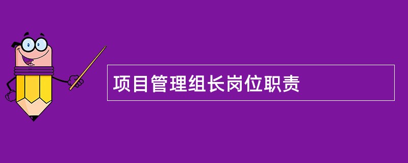 项目管理组长岗位职责