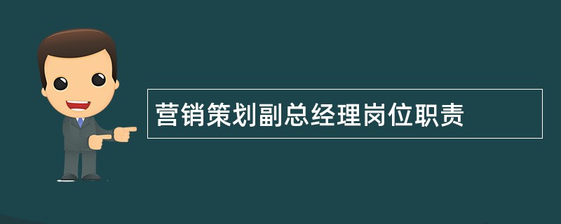 营销策划副总经理岗位职责