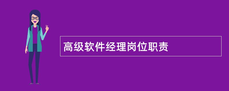 高级软件经理岗位职责