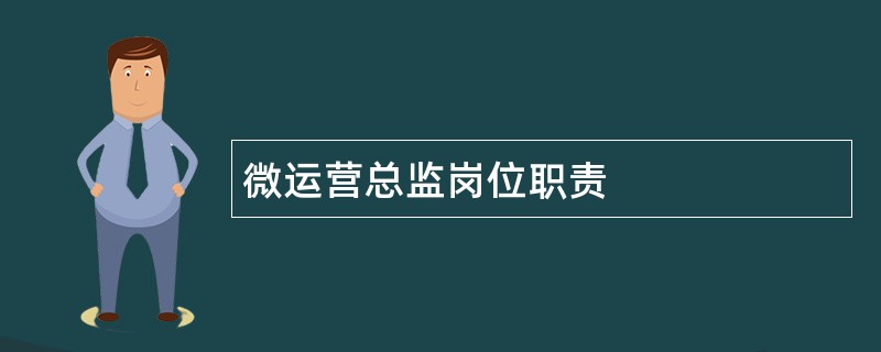 微运营总监岗位职责