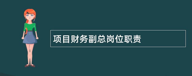 项目财务副总岗位职责