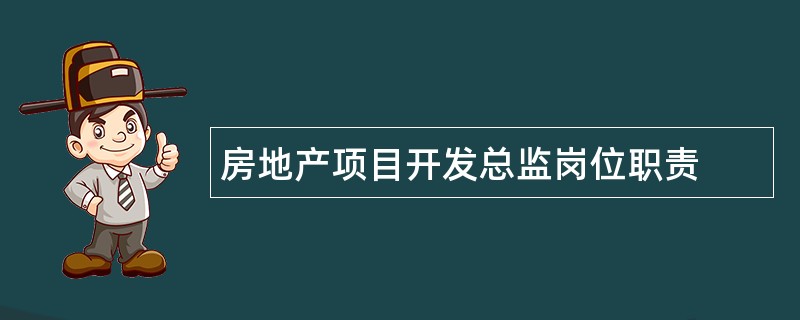 房地产项目开发总监岗位职责