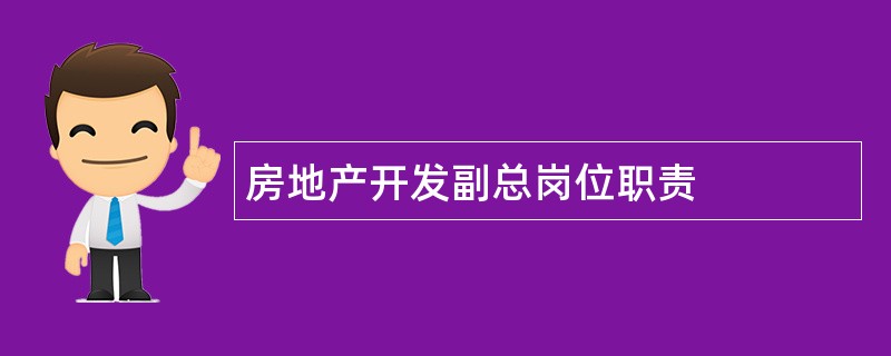 房地产开发副总岗位职责