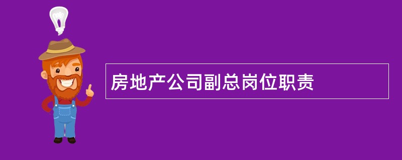 房地产公司副总岗位职责