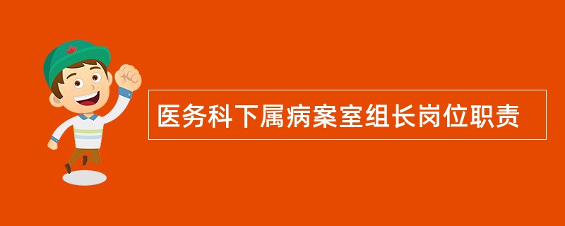 医务科下属病案室组长岗位职责