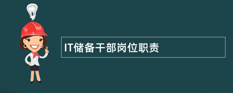 IT储备干部岗位职责