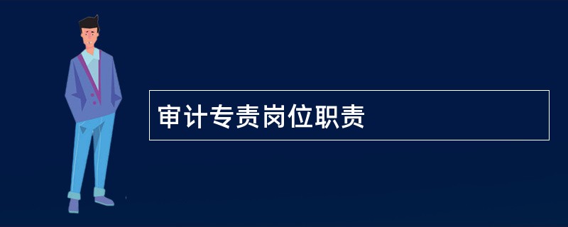 审计专责岗位职责