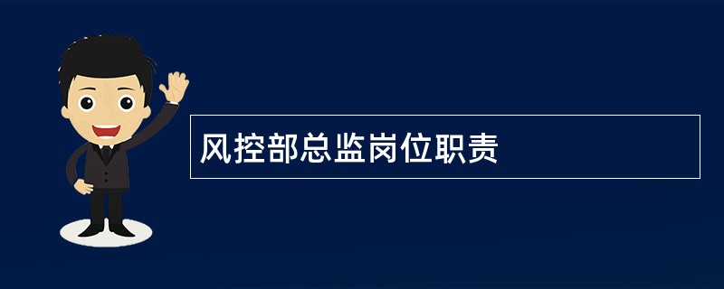 风控部总监岗位职责