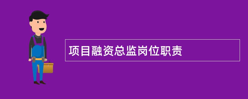 项目融资总监岗位职责