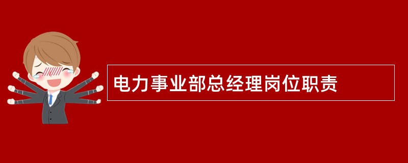 电力事业部总经理岗位职责