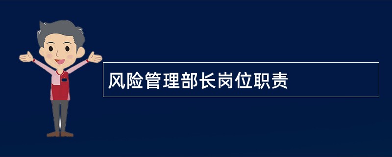 风险管理部长岗位职责