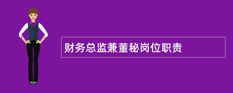 财务总监兼董秘岗位职责