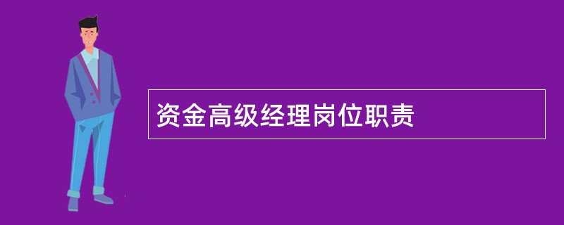 资金高级经理岗位职责