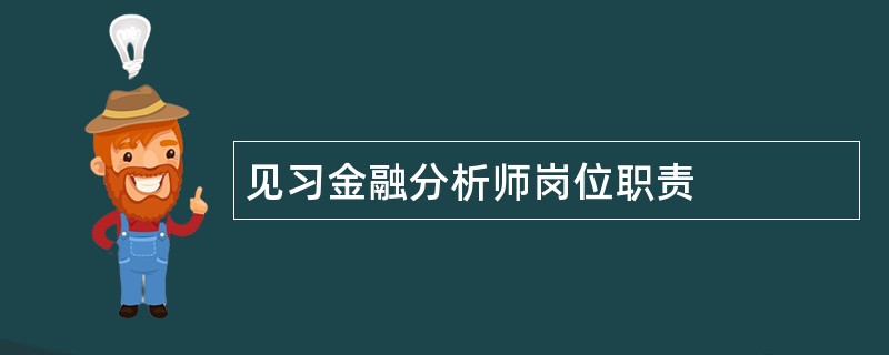 见习金融分析师岗位职责