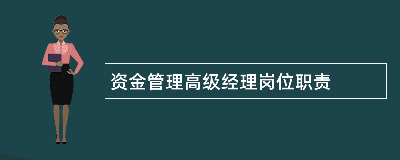 资金管理高级经理岗位职责