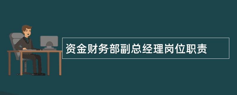 资金财务部副总经理岗位职责