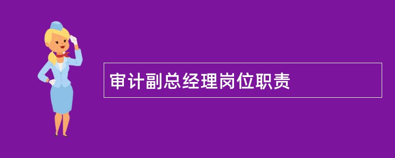 审计副总经理岗位职责