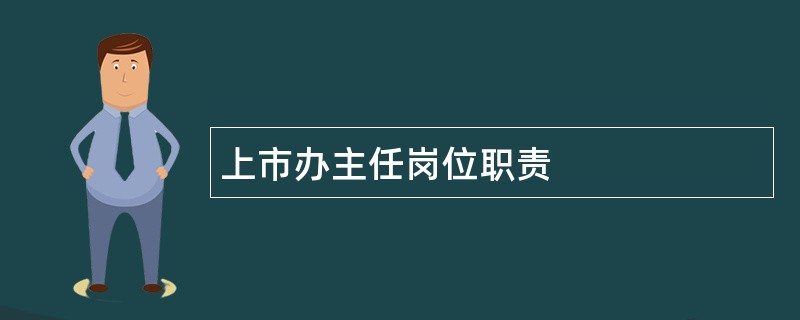 上市办主任岗位职责