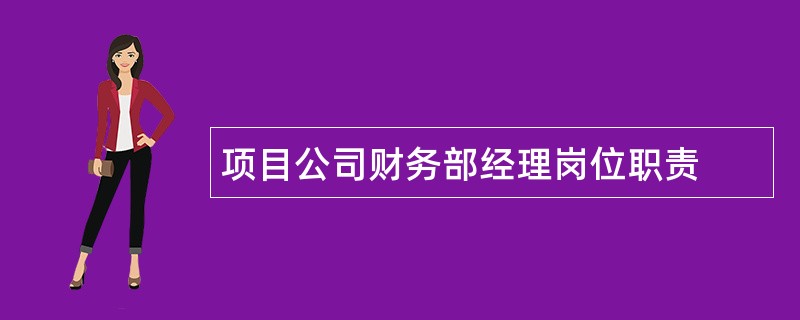 项目公司财务部经理岗位职责